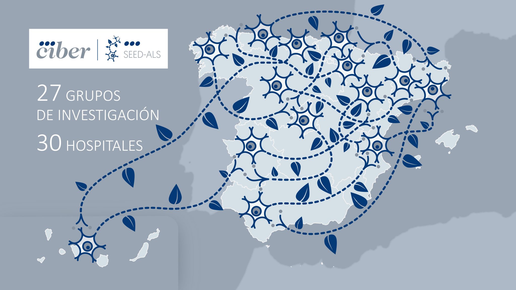 SEED-ALS network map